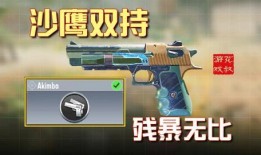 传说沙鹰最新爆料视频,神秘视频揭秘传奇武器背后的故事